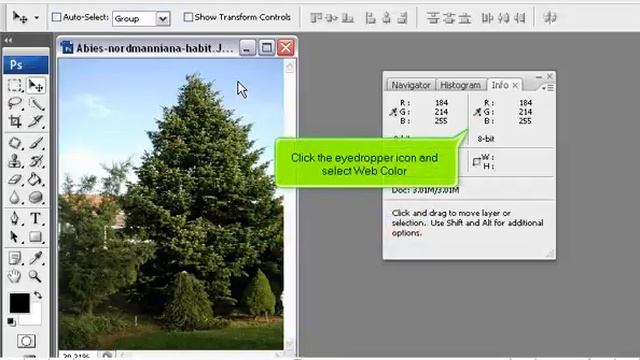 How to get the hex code of a color for your website in PhotoShop - PhotoShop Tutorials смотреть онлайн