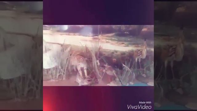 Жастардың журналистікаға ынтасы смотреть онлайн