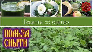 Невероятная польза сныти. Рецепты из сныти.mp4