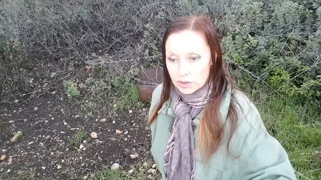 Где скрывается Мандрагора?Where Is Mandragora Hiding?