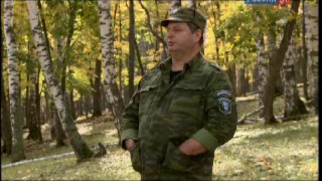 Дикий мёд смотреть онлайн