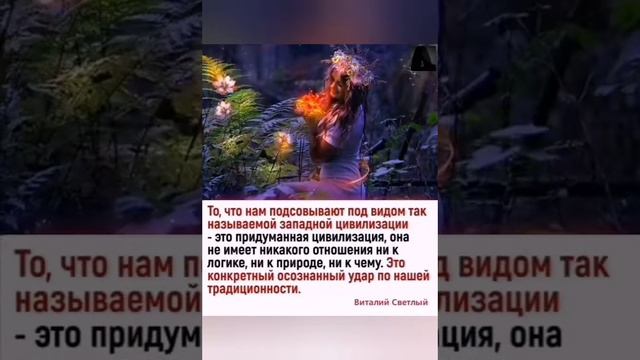 Пришло время встать с колен, братья Славяне. смотреть онлайн