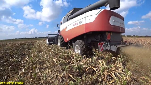 ИТОГ... Уборки Сорго/ЗАМЕНИТ ЛИ Сорго... Кукурузу/Урожайность Сорго На Кубани смотреть онлайн