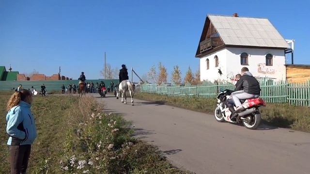 Кемерово. Байкеры и коневоды меряются табунами. За "рулями" девчонки. смотреть онлайн