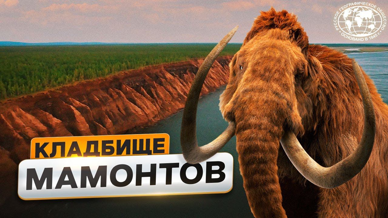 Сыпучий Яр: охота на мамонта в  XXI веке | @Русское географическое общество