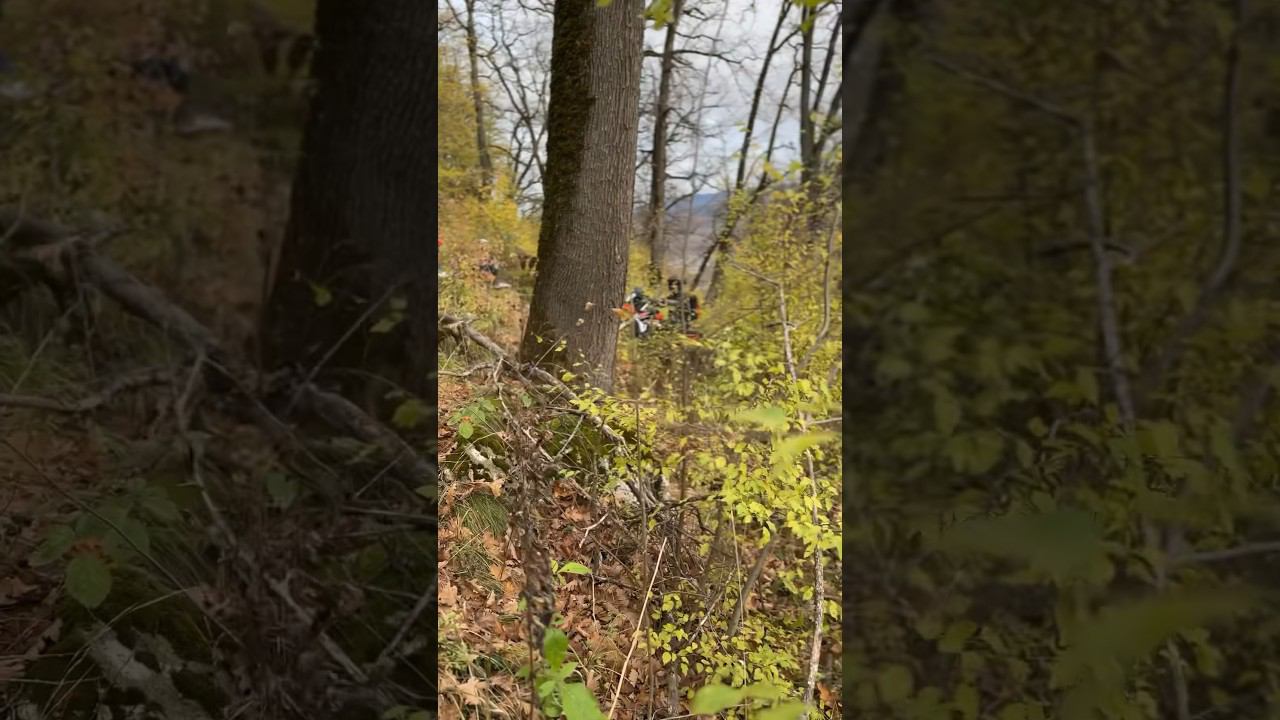 Работаю в Адыгее ) смотреть онлайн