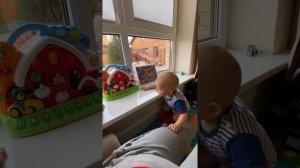 Малыш обижает кота