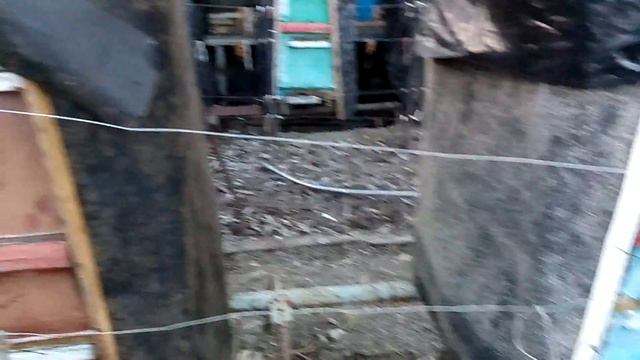 Побег из Шоушенка... смотреть онлайн