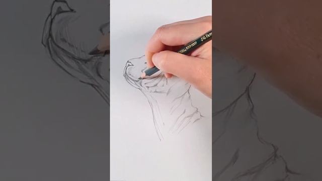 Котик СФИНКС #рисунки #рисункидлясрисовки смотреть онлайн