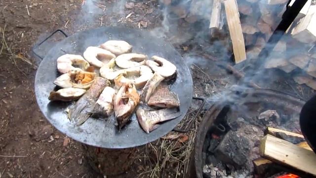 ??Чистейшее Белое озеро Витебская область. Отлично Отдохнули на Белом озере. Поездка на Белое озеро смотреть онлайн