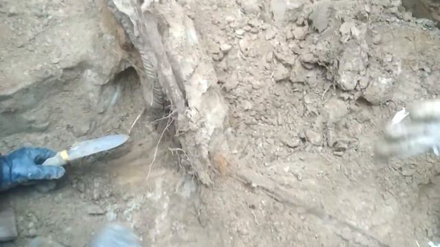 История забытого Героя смотреть онлайн