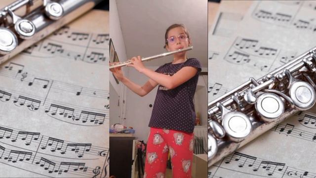 Završni Koncert - Flauta, Klarinet, Saksofon