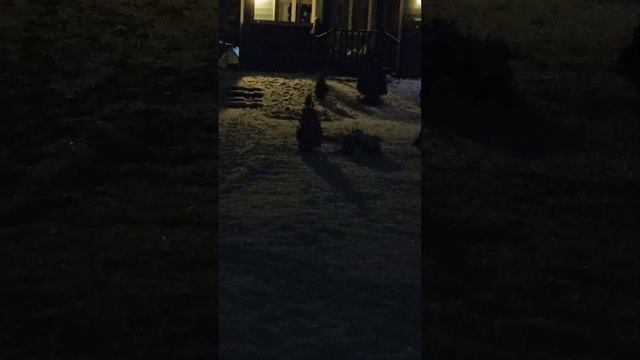 Жизнь в Шуе. часть 2