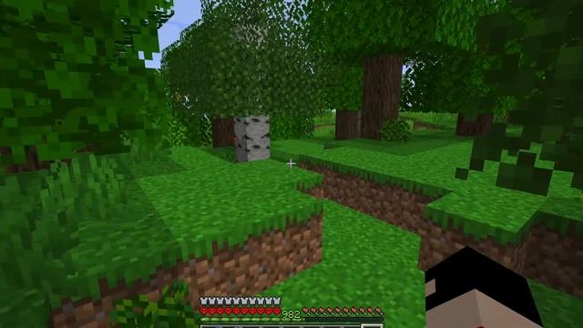 Minecraft HardCore Mod 1 16 5 смотреть онлайн