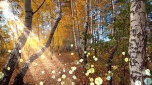 Лучшие Мелодии Золотого Саксофона для отдыха!SAXOPHONE* Вдохновляющая Очень Красивая Музыка