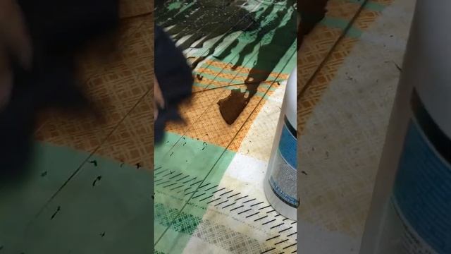 Домовладельцы и Ремонт