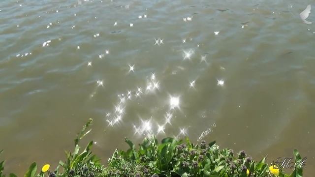 ?♫ Для души... Арсений Якшиянц - Фиалки. Arseniy Yakshiyants - Violets. смотреть онлайн