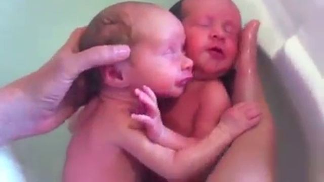 Новорожденные близнецы не отпускают друг друга ;) смотреть онлайн