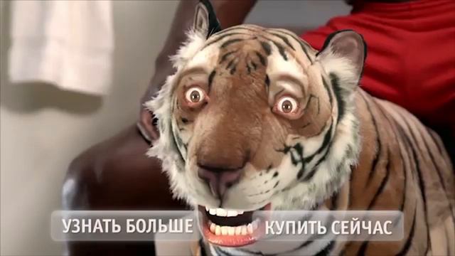 ШОК! МОДНАЯ ПОЛИЦИЯ! СЛУЧИЛОСЬ УЖАСНОЕ! смотреть онлайн