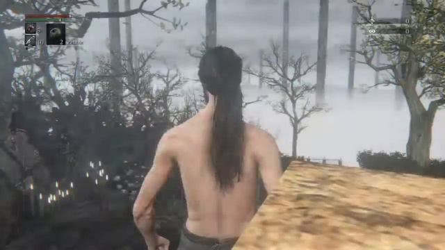 Bloodborne 2: worst revenge on youtube смотреть онлайн