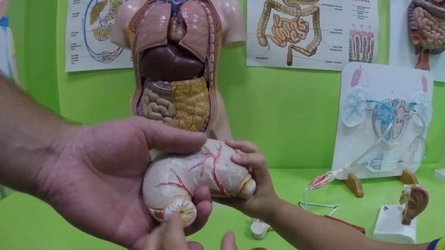 Влог: Музей Интересной Науки Одессы! смотреть онлайн