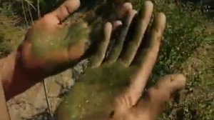 Чуйская долина.mp4