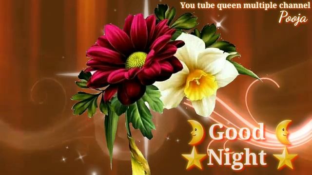 Good Night Gif смотреть онлайн