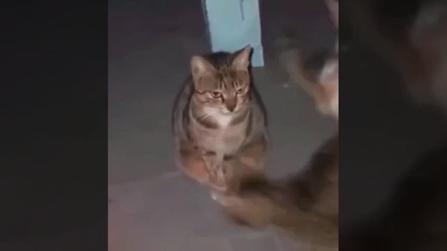 Почувствовал всю соль жизни) смотреть онлайн