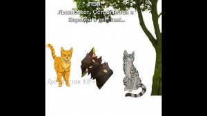 ПОВ: Львиносвет, Остролистая и Воробей в детстве #мем #прикол #котывоители #троица #wc