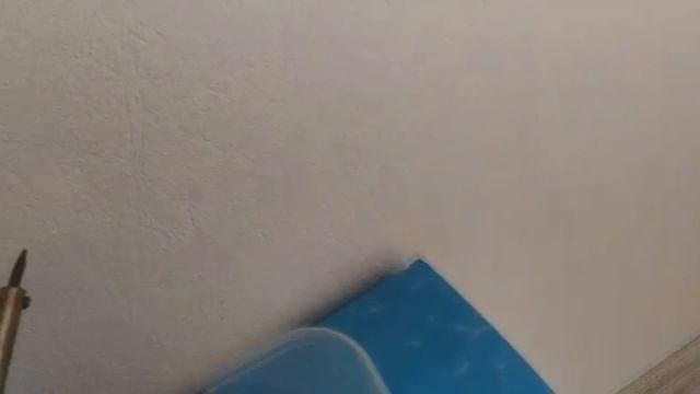 БесполезноеВидео #3 Японские карликовые мыши смотреть онлайн