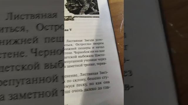 Обзор книги Коты Воители Судьба Небесного племени Сомнение. смотреть онлайн