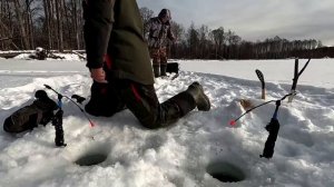 Зимняя рыбалка в тайге. Ловля ленка и хариуса на электронную удочку. Зимняя рыбалка в Сибири.