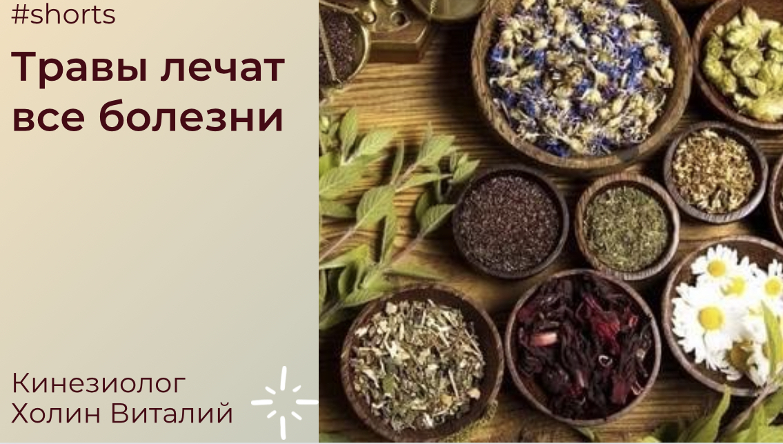 Травы лечат все болезни смотреть онлайн
