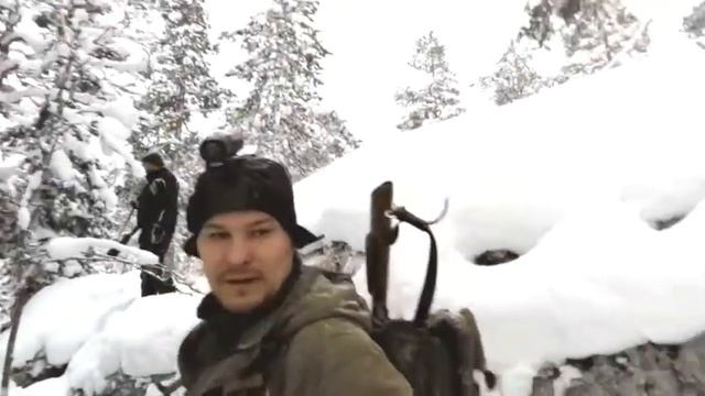 охота на лисьицу с норными собаками смотреть онлайн
