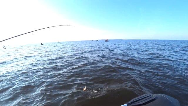 Рыбалка осенью. Ловим окуня в холодной воде. Рыбалка с друзьями - подписчиками смотреть онлайн