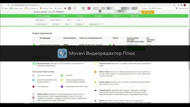 Аукцион 223 ФЗ