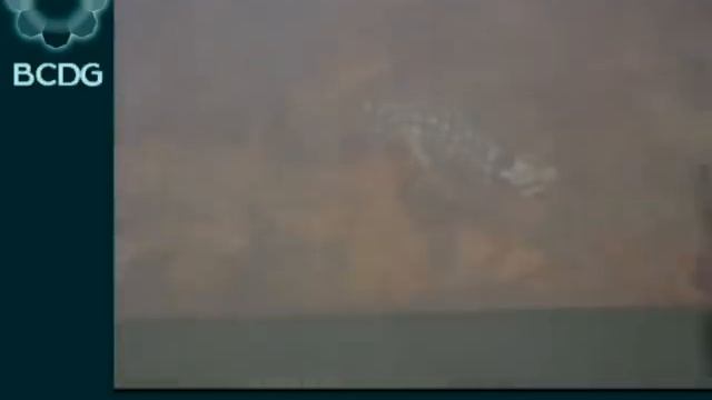 Декоративная штукатурка. Ящерицы. смотреть онлайн