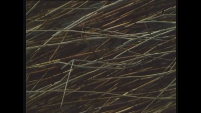 СЕМИНАР «КИНО И КИНЕМАТОГРАФИСТЫ XXI ВЕКА ВАЛЕНТИНА ГУРКАЛЕНКО-СИДЕЛЬНИКОВА» смотреть онлайн