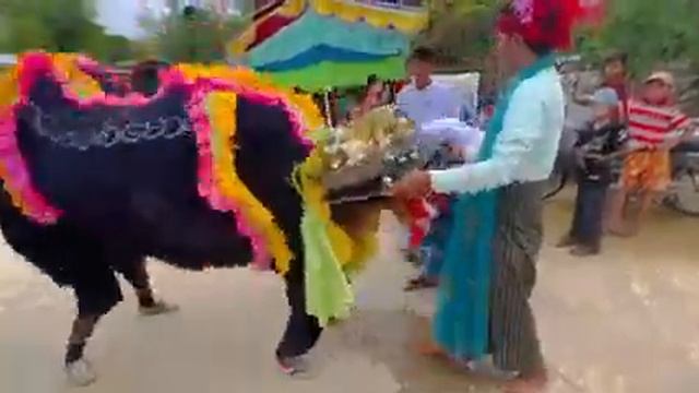 ခေတ်သစ်မောင် ကြီးရဲ့ စတော်တိုက်အက https://www.facebook.com/profile.php?id=100083768281457 смотреть онлайн