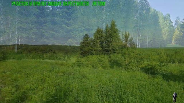№ 5 - О ПРОЕКТЕ Участок в тайге. Благоустраиваюсь. Строю дом-землянку. смотреть онлайн