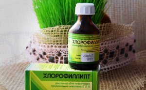 Хлорофиллипт  Натуральное лекарственное средство за копейки