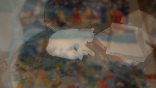Пазл "Life" Жизнь -- 24 000 элементов смотреть онлайн