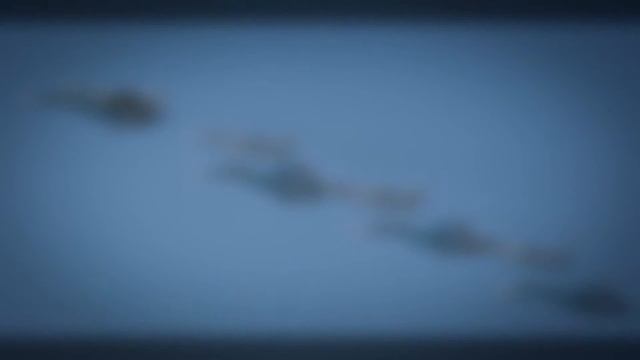 Мое слайд-шоу - вид из окна смотреть онлайн