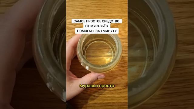 Наша Дача (5)