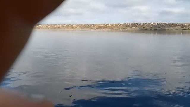 Лов окуня на тейл-спіннер - Найпростіша і універсальна окунева приманка. Високий хребет. смотреть онлайн