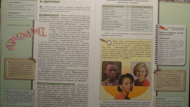 Биология (Л.Н.Сухорукова) 8к §5 Наследственность и здоровье смотреть онлайн