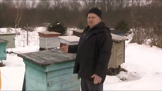ПЧЕЛОВОДЫ СДЕЛАЙТЕ ЭТО И СПИТЕ СПОКОЙНО. смотреть онлайн