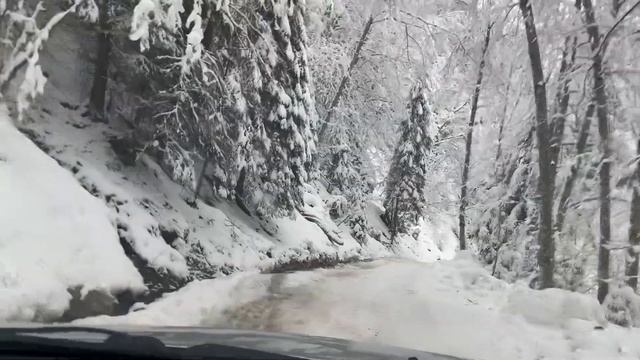 Дорога через зимний лес к водопаду Гук, через урочище Женец. смотреть онлайн