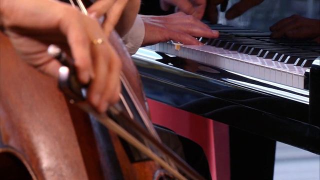 Larissa Groeneveld & Frank van de Laar - E.Dohnányi/from: Sonata for cello & piano-opus 8 (I) (live смотреть онлайн