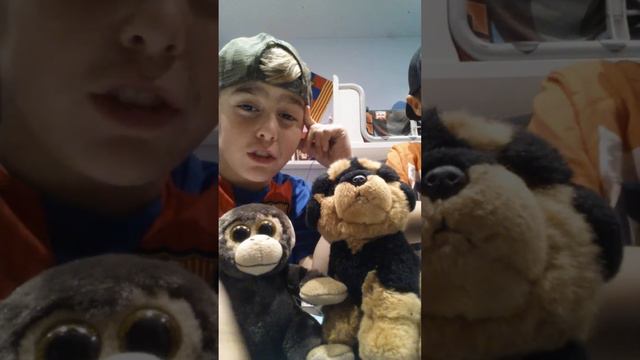 Eligiendo nombre de la mascota con willi pg se llama..."david 37 dp" смотреть онлайн
